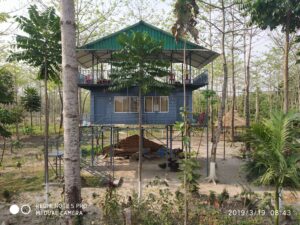 Image of রাইনো কটেজ at Jaldapara
