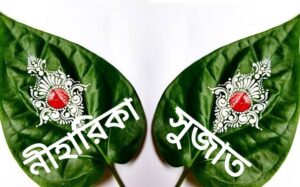 মিতিল - Names of hero and heroine
